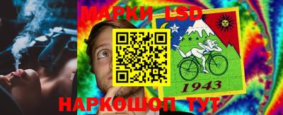 шишки Белореченск