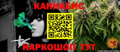 шишки Белореченск