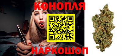 шишки Белореченск