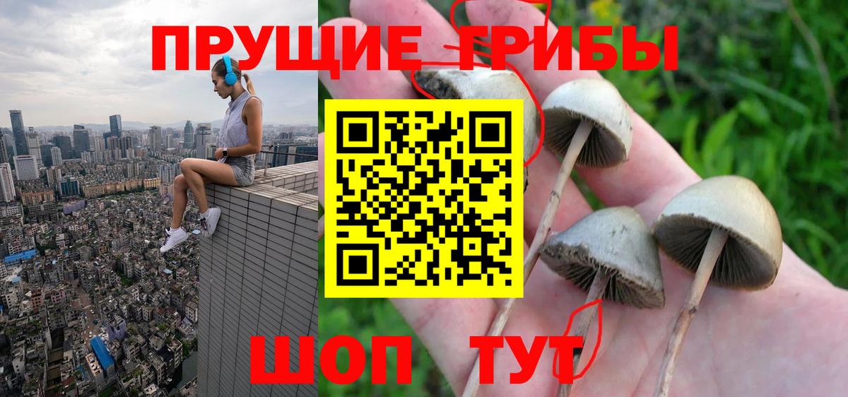 Псилоцибиновые грибы прущие грибы Гудермес