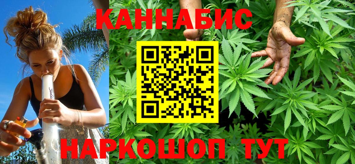 Канабис тримм Гудермес